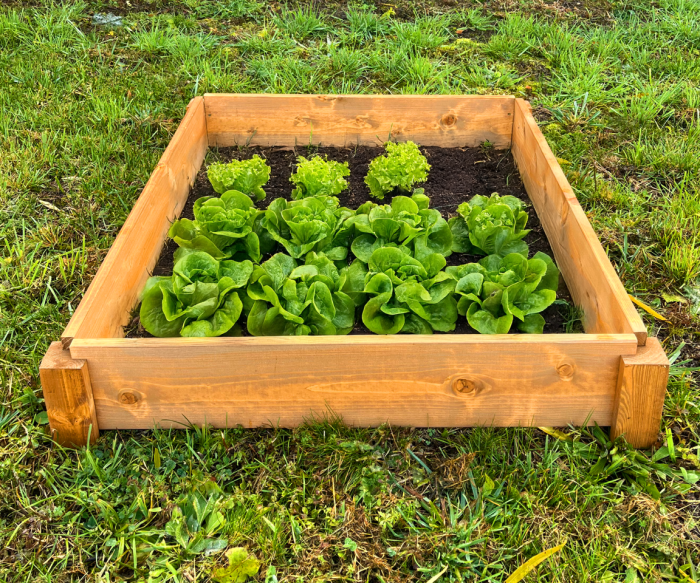 LSH Modul Box – Modulárny vyvýšený záhon