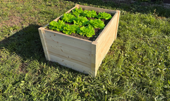 LSH Modul Box – Modulárny vyvýšený záhon - Image 4